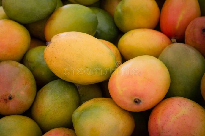 Mango
