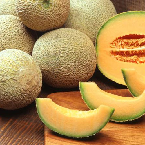 muskmelon